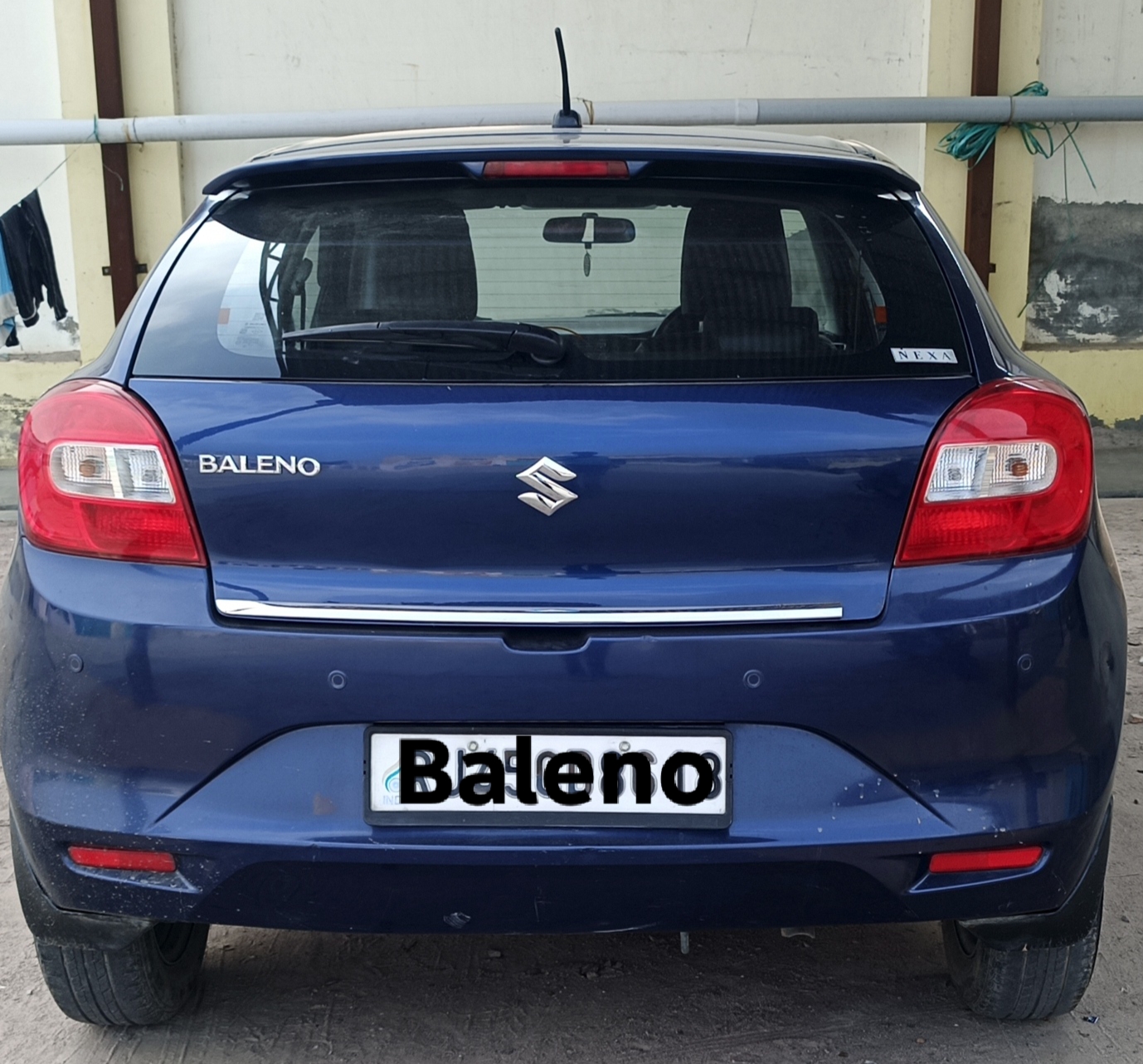 Back View