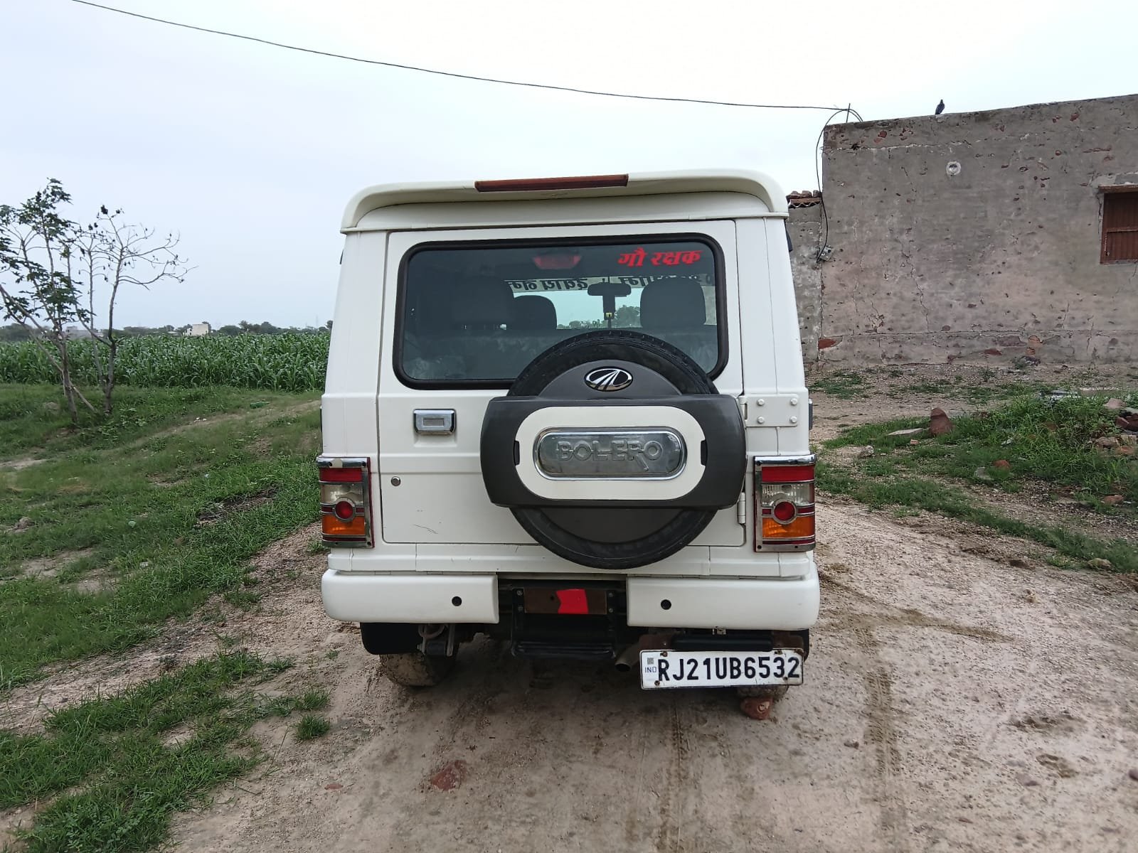 Back View